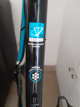 Coluer invicta SL en talla 58