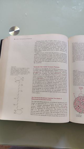 Principles of Biochemistry