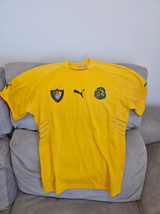 Camiseta Original Selección Camerún Puma