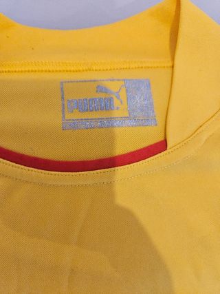 Camiseta Original Selección Camerún Puma