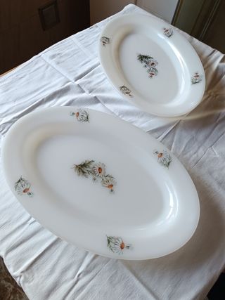 Bandejas Arcopal Margaritas