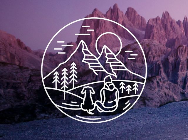 Vinilos decorativos para furgoneta camper