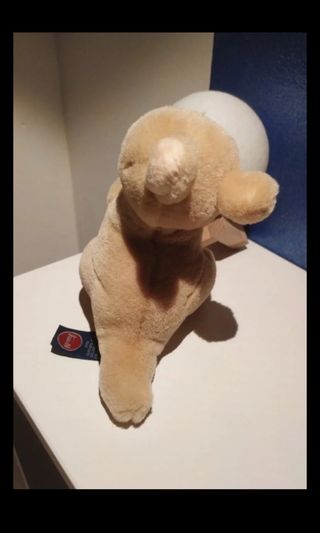 Peluche canguro Trudi