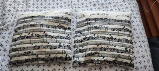 2 Cojines Música Decorativos