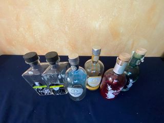 6 Bottiglie Gin Vuote 3 coppie diverse- Collezione