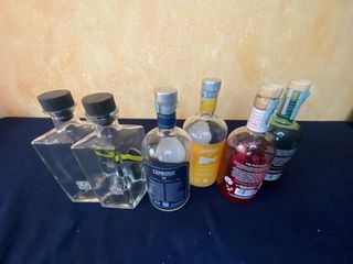 6 Bottiglie Gin Vuote 3 coppie diverse- Collezione