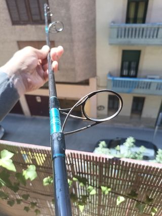 Caña Pesca Carp Fishing
