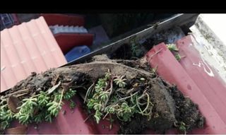 Arreglos (tejados y goteras)