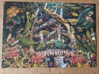 Puzzle 1000 piezas Mariposas