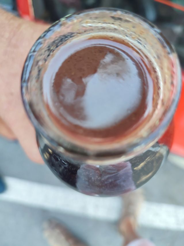 Pasta & Concentrado Acebuche