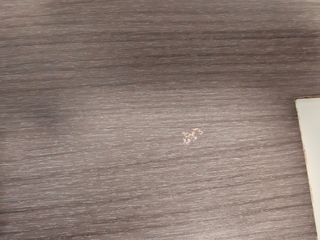 Mesa comedor extensible gris