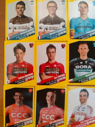 Cromos Tour Francia 2019 Panini (15)