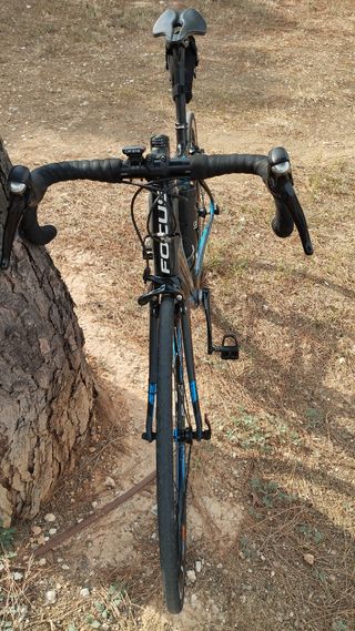 Bicicleta carretera Focus