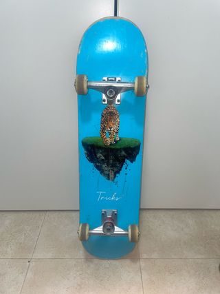 Skate Tricks