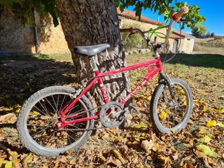 Bicicleta BH California vintage