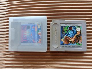 2x Juegos Game Boy: Forsaken y Tetris