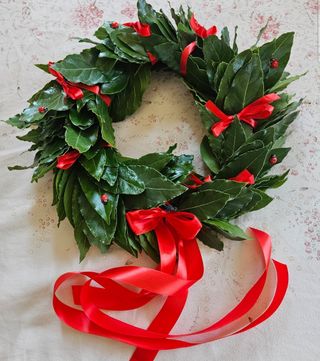 Corona alloro laurea