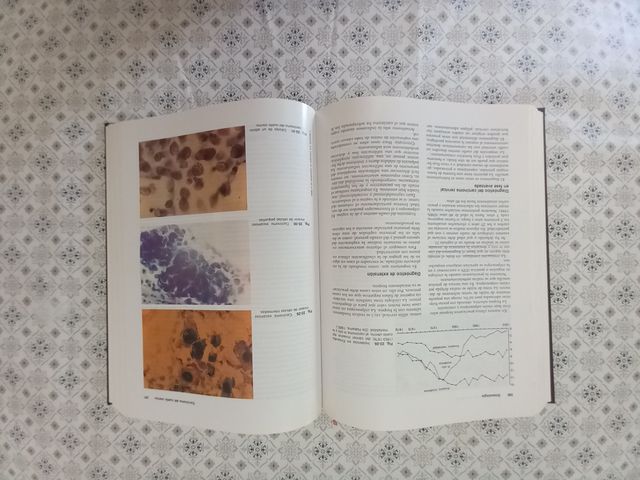 GINECOLOGIA Excelente y completísimo.