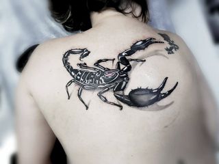 Tatuador de Estudio Profesional – EVO en Málaga