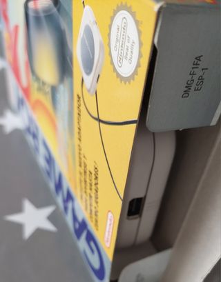 F1 Race Game boy