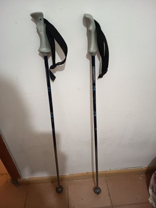 Bastones esquí 