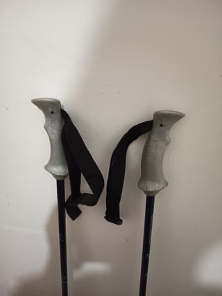 Bastones esquí 