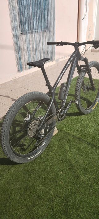 Bicicleta Dartmoor Horner