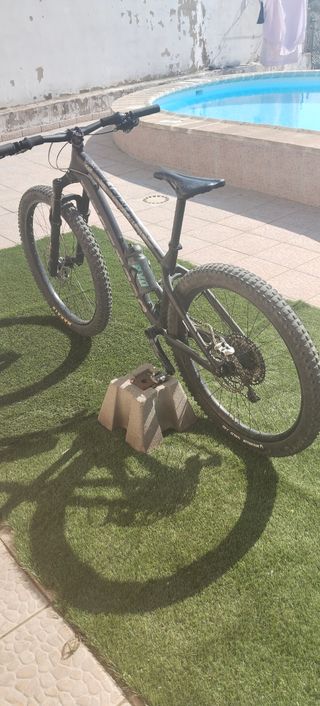 Bicicleta Dartmoor Horner