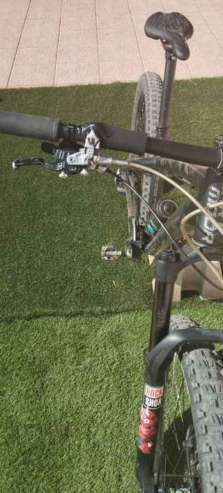 Bicicleta Dartmoor Horner