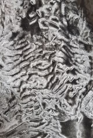 Pelliccia Fendi astrakan