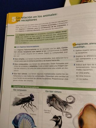 Biología y Geología 1.ESO