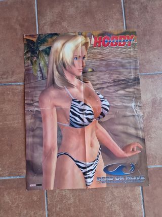 Posters Retro: de videojuegos 