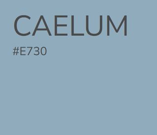2 botes pintura Valentine: Savasana #E727 y Caelum