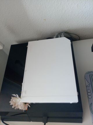 Wii blanca + cables