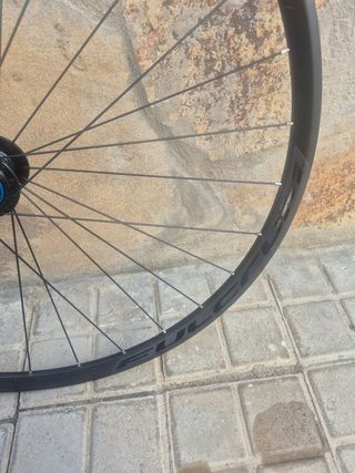 Rueda trasera Fulcrum 77 Disc