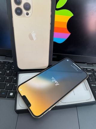 iPhone 13 Pro Max 256GB