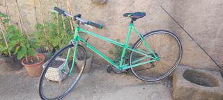 Bicicleta Orbea Verde