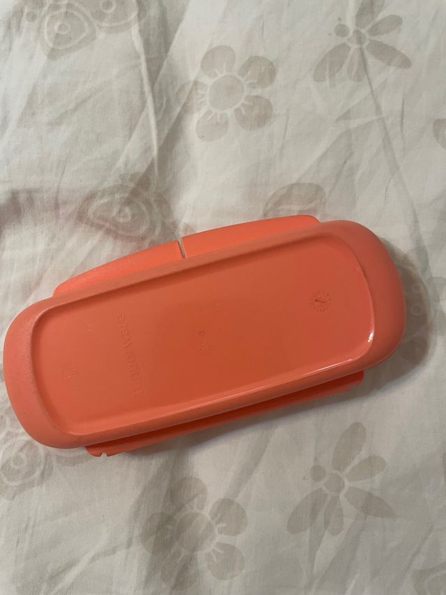 Tupperware Disney Princess Rosa