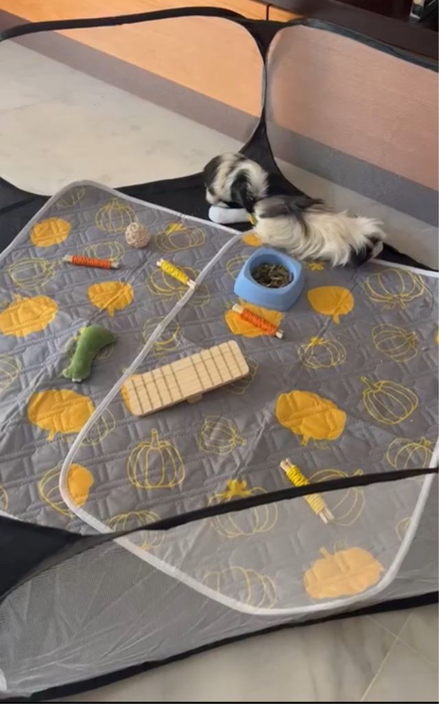 Parque Plegable Cobayas  con alfombra de  regalo.