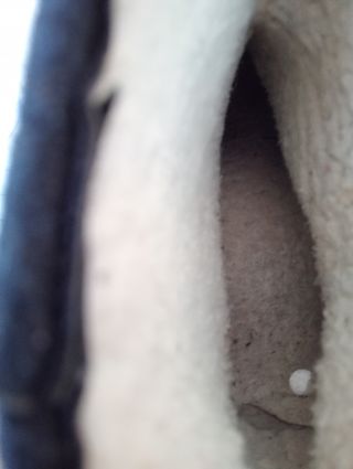 Botines negros - botines de borreguillo