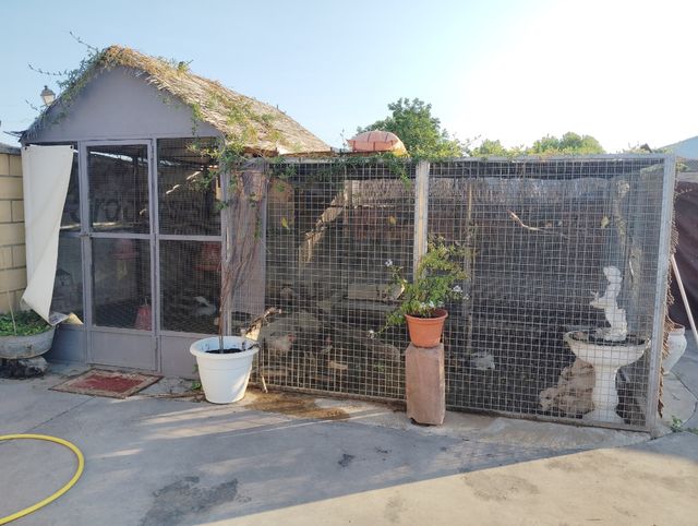 Voladera pajaros grande gris