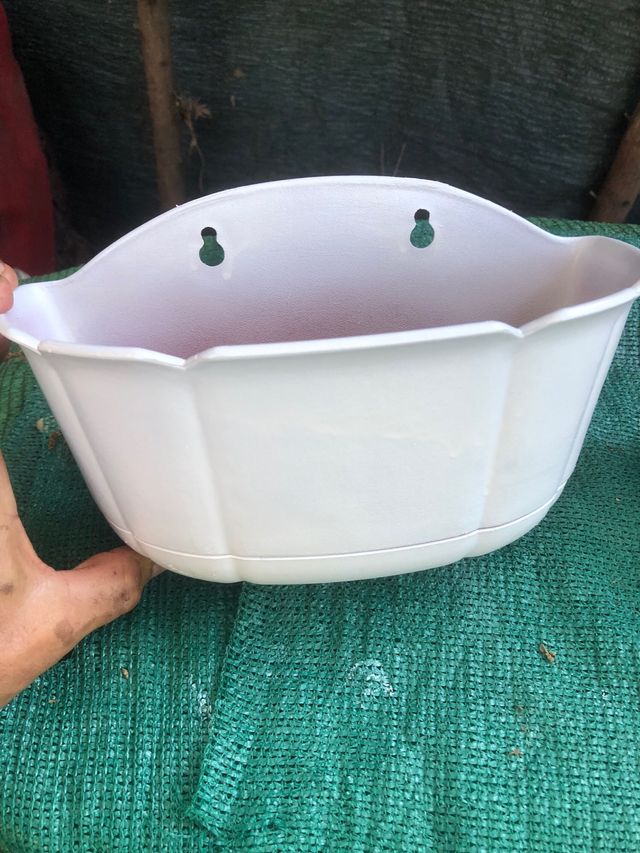 Maceta pared blanca - plástico