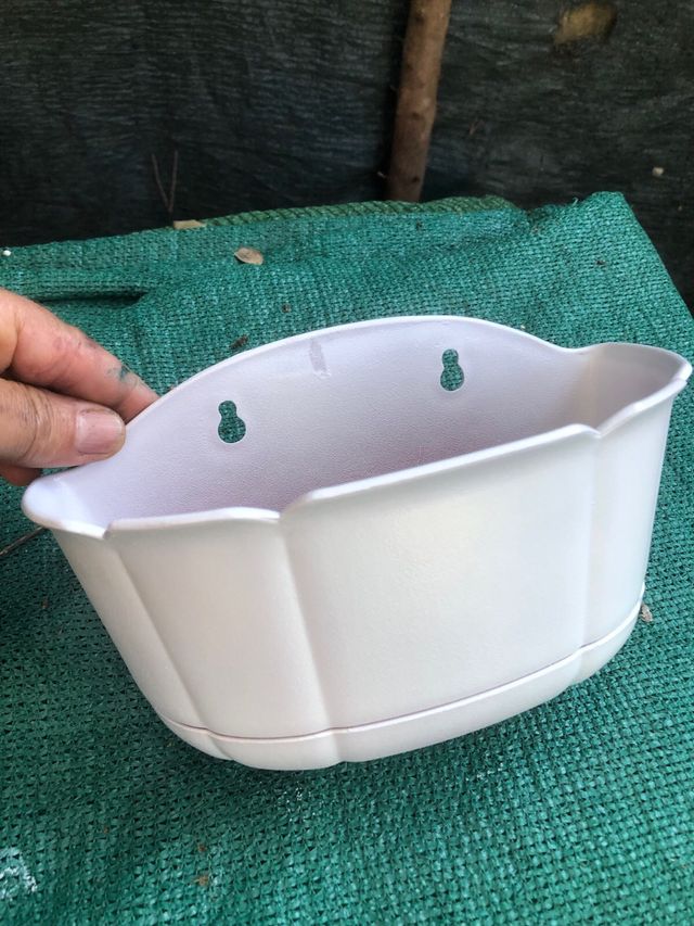 Maceta pared blanca - plástico