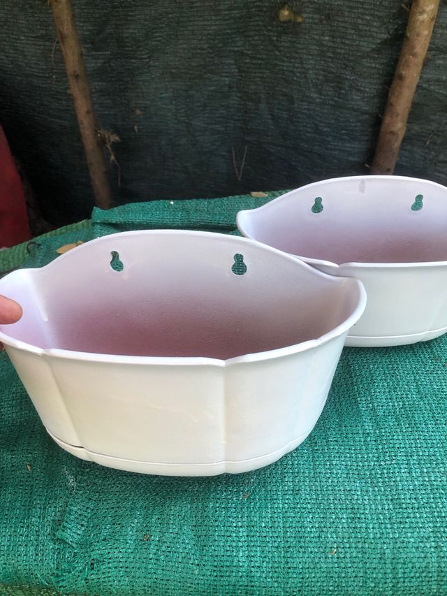 Maceta pared blanca - plástico