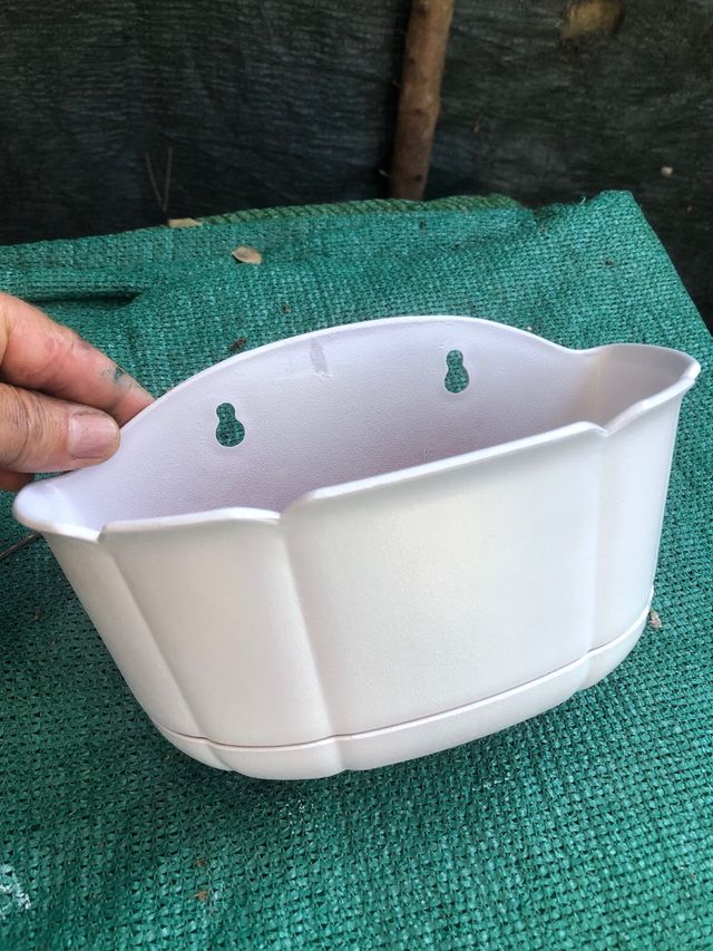 Maceta pared blanca - plástico