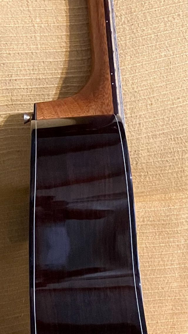 Guitarra Ibanez GM600CE-NT
GRAN OFERTA!!!! 