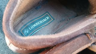 Lumberjack Uomo Marroni 41