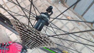 Ruedas MTB 29" Orbea Alma