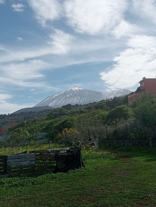 CUIDADORA DE ANIMALES