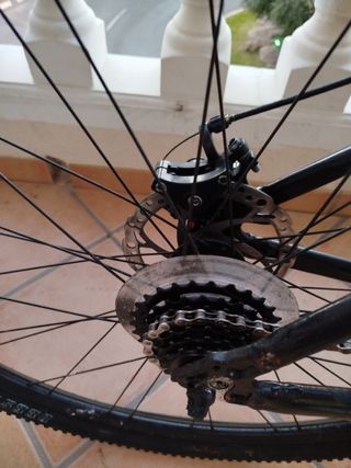 Bicicleta Racer 290FD Personalizada